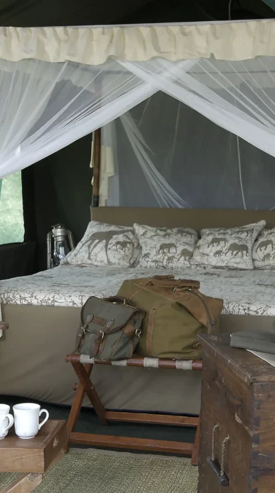 Traditional safari tent tanzania