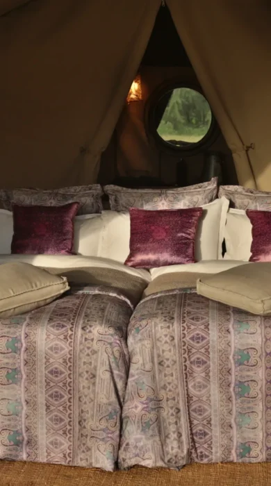 Safari tent twin room Tanzania