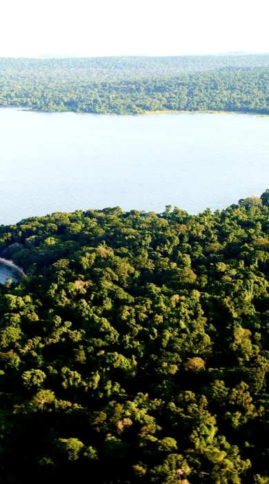 Rubondo Island landscape tanzania yellow zebra safaris