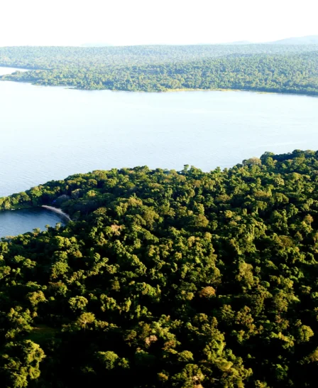 Rubondo Island landscape tanzania yellow zebra safaris