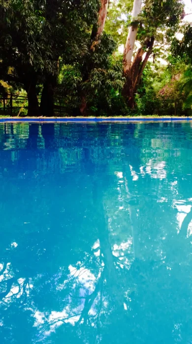 Tanzania lodge pool