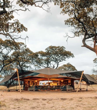 open main tent, wayo serengeti green camp, tanzania