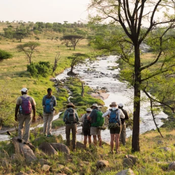 A guide talks to guests on a hill as they look down upon a river, Wayo Walking Camp, Serengeti, Tanzania - Yellow Zebra Safari