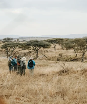 guests, wayo walking camp, the serengeti, tanzania