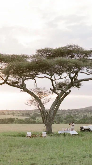 Tanzania Sundowners