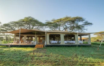 Roving Bushtops Tent Tanzania