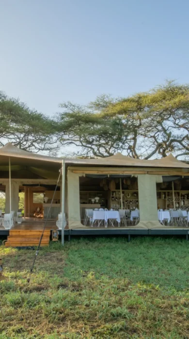Roving Bushtops Tent Tanzania