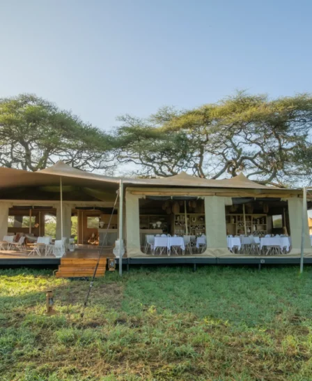 Roving Bushtops Tent Tanzania