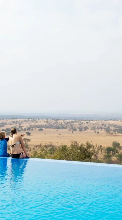 kubu kubu pool view tanzania yellow zebra safaris