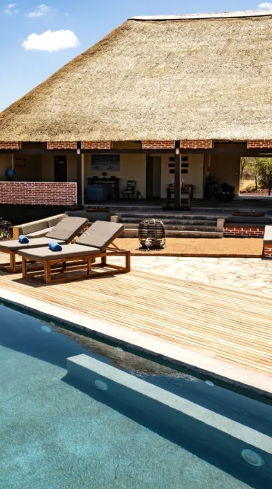 mandhari lodge tanzania yellow zebra safaris