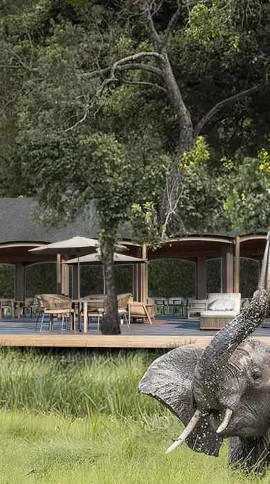 Main guest tent exterior with elephants in front, Mara Triangle, Kenya, Yellow Zebra Safaris