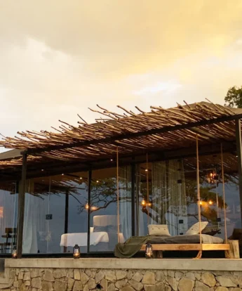 nimali mara outside view tanzania yellow zebra safaris light
