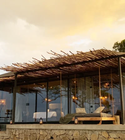 nimali mara outside view tanzania yellow zebra safaris light
