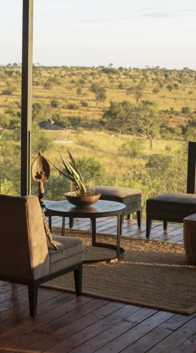 nimali mara decking tanzania yellow zebra safaris
