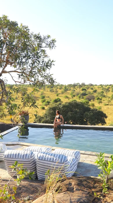 nimali mara pool tanzania yellow zebra safaris