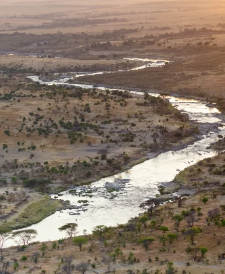 mara mara tented lodge tanzania yellow zebra safaris