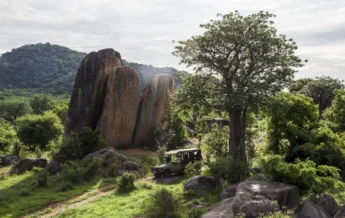 jabali private house tanzania landscape yellow zebra safaris