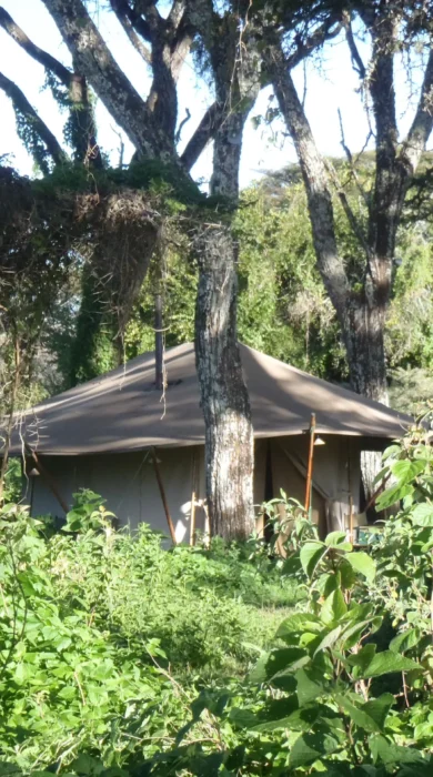 Ngorongoro Classic Green Camp, Tanzania