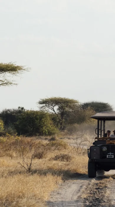 game drive, usanga expedition camp, ruaha national park, tanzania