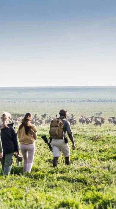 Walking safari, Nyasi Migrational Camp, Tanzania