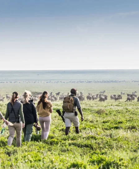 Walking safari, Nyasi Migrational Camp, Tanzania