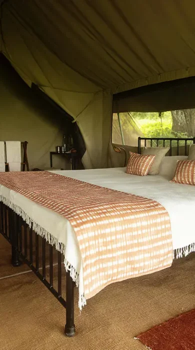 Room, Esirai Camp, Serengeri NP, Tanzania