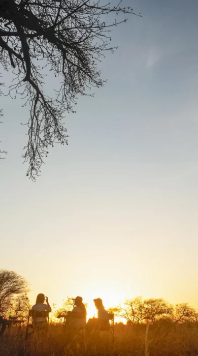 Sundowner, Olkeri Camp, Tarangire National Park, Tanzania