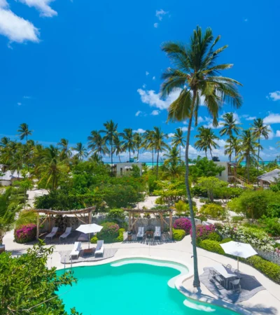 white sand villas pool view tanzania yellow zebra safari