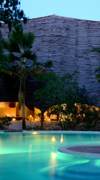unguja lodge pool tanzania yellow zebra safaris