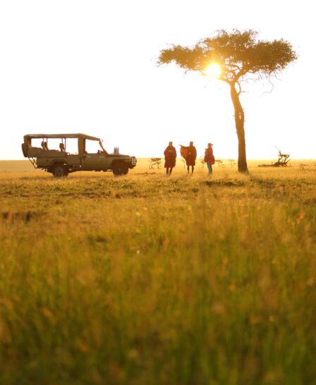 The setting sun highlights the profile of safari vehicle and three people under the acacia tree, Mara Conservancy, Kenya - Yellow Zebra Safaris