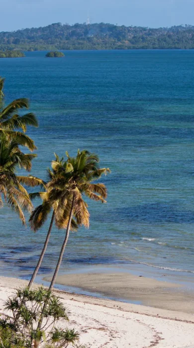 058 WAMBAA BEACH 2