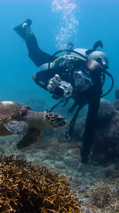 chole mijini Turtle Diver