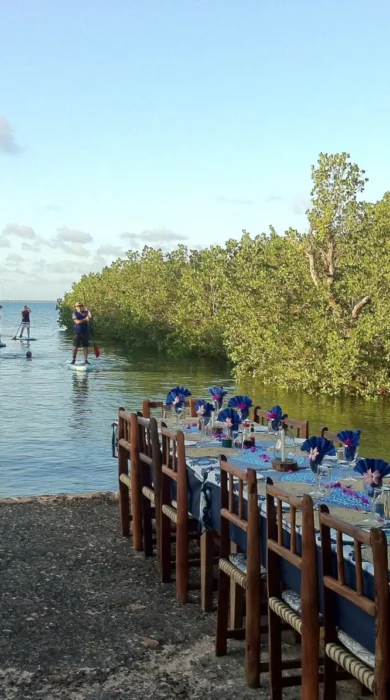 chole mijini dining sea detail view