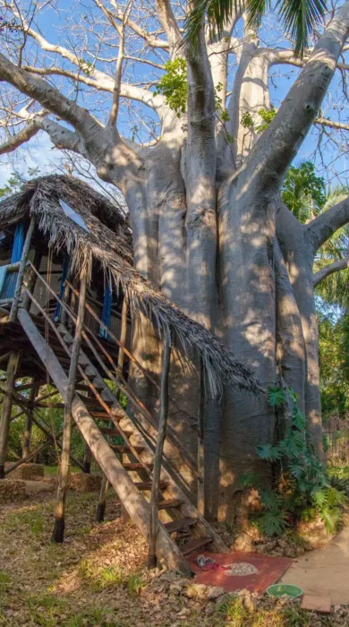 chole mijini hut exterior view