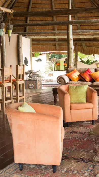 lupita island bar area tanzania yellow zebra safaris