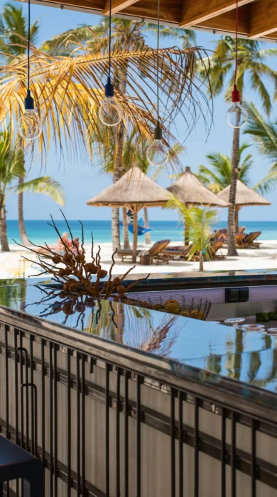 bahari bar zuri zanzibar tanzania yellow zebra safaris