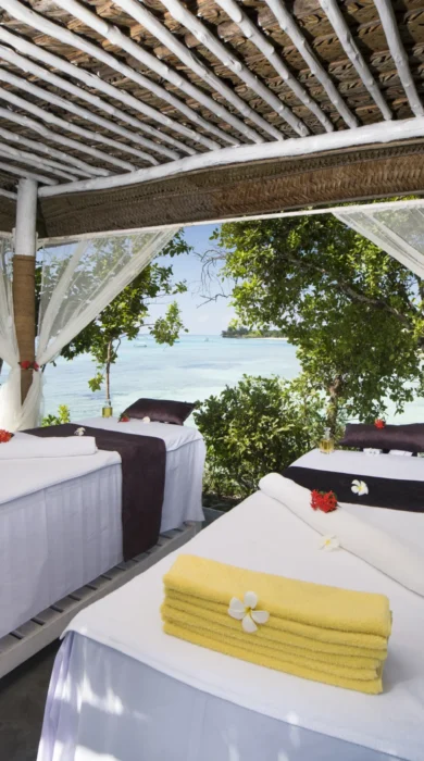 contance aiyana spa tanzania yellow zebra safaris