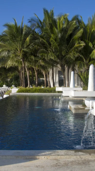 contance aiyana pool area tanzania yellow zebra safaris