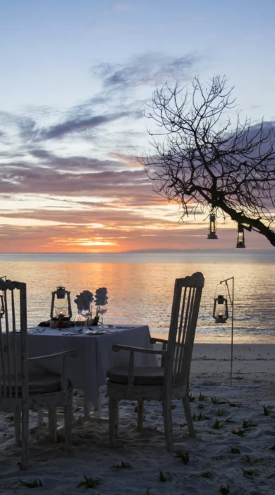 contance aiyana sundowners dinner tanzania yellow zebra safaris