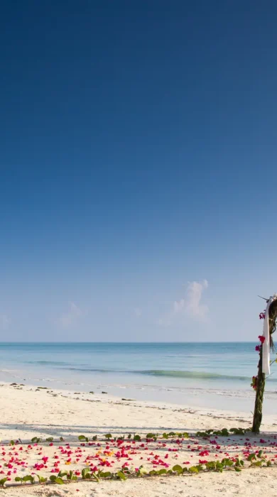 kisiwa beach dining tanzania yellow zebra safaris
