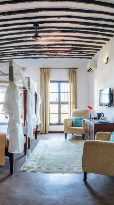 Malkia Junior suite