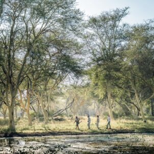 Walking Safari, Chicari, Gorongosa, Mozambique, Yellow Zebra Safaris
