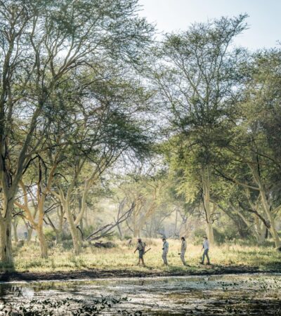 Walking Safari, Chicari, Gorongosa, Mozambique, Yellow Zebra Safaris
