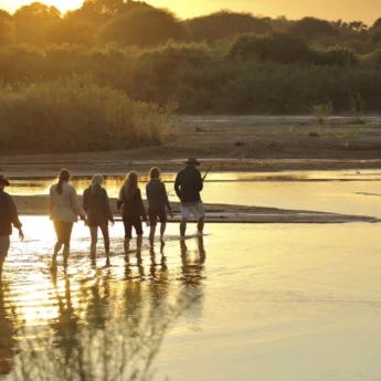 Walking adventures in Ruaha National Park, Tanzania