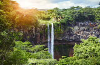 A waterfall amongst verdant shrubs, Chamarel Waterfalls, Mauritius - Yellow Zebra Safaris