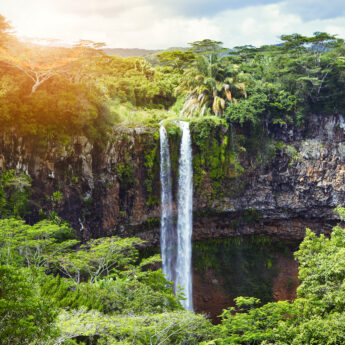 A waterfall amongst verdant shrubs, Chamarel Waterfalls, Mauritius - Yellow Zebra Safaris
