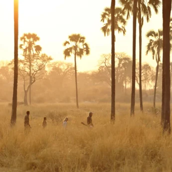 Walking activities in Ruaha National Park, Tanzania