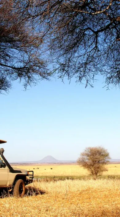 Game drive in Tarangire National Park, Tanzania