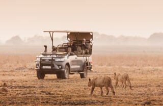 Safari truck watches two hyenas approach, Wilderness Busanga Bush Camp, Kafue, Zambia - Yellow Zebra Safari