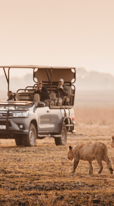 Safari truck watches two hyenas approach, Wilderness Busanga Bush Camp, Kafue, Zambia - Yellow Zebra Safari